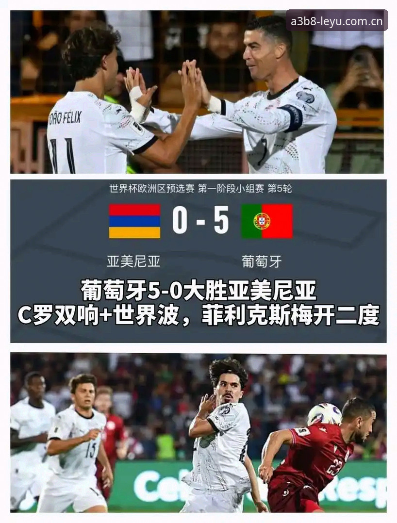 乐鱼全球热门赛事vs传统观赛平台：体育迷的终极选择对比
